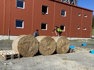 Miška Na Prekážke.jpg